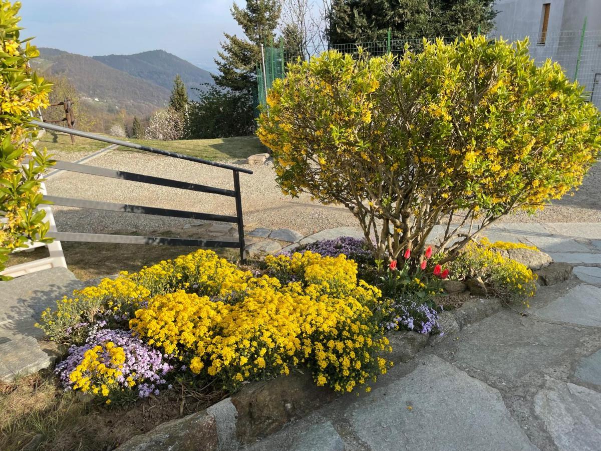 Camere Villa Lunardini Frassinetto  Екстер'єр фото